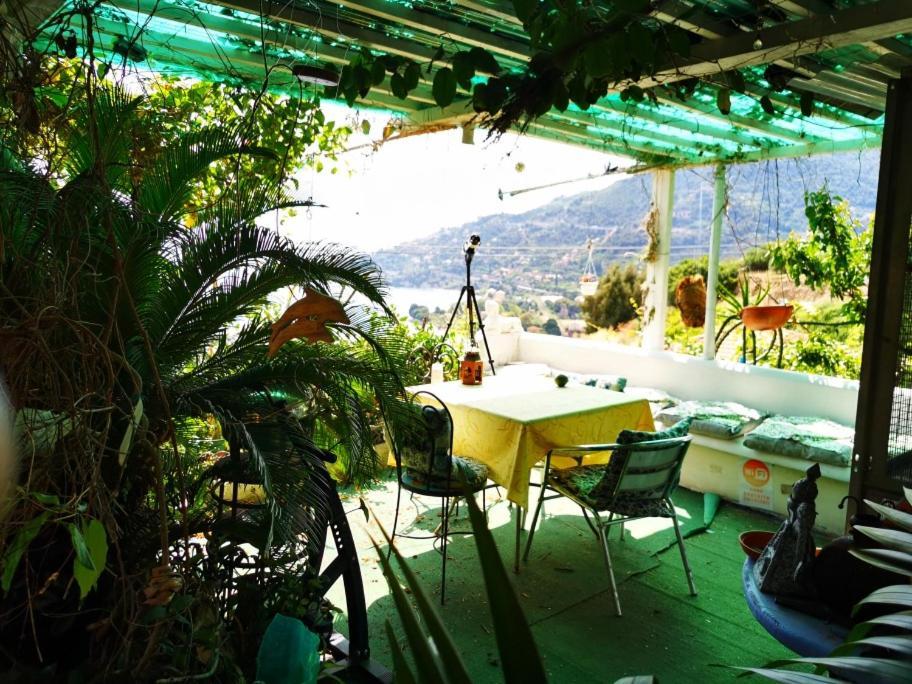 Romantic Casa Lorenzina Affittacamere 벤티밀리아 외부 사진